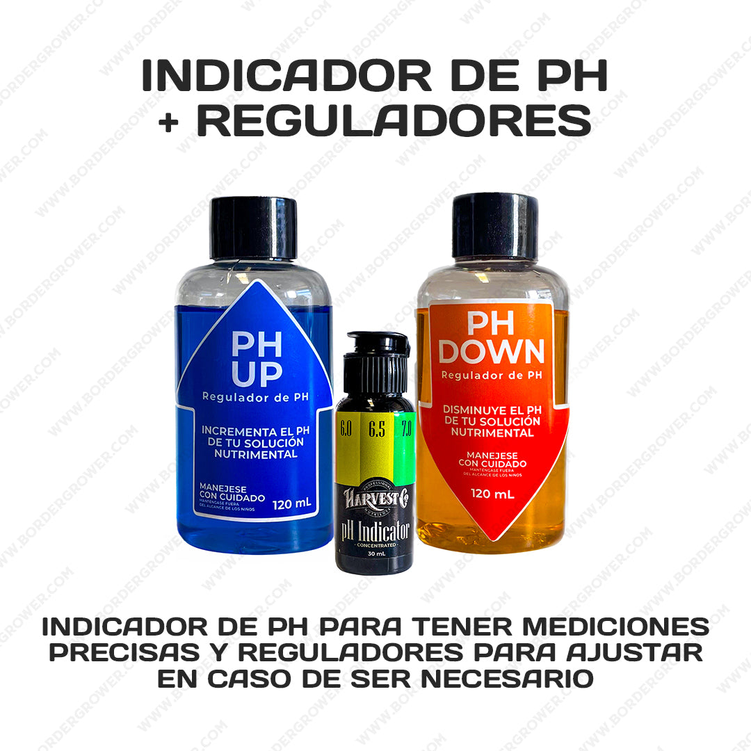 Kit Principiante + 2 Lámparas LED + Nutrientes + Envío Gratis