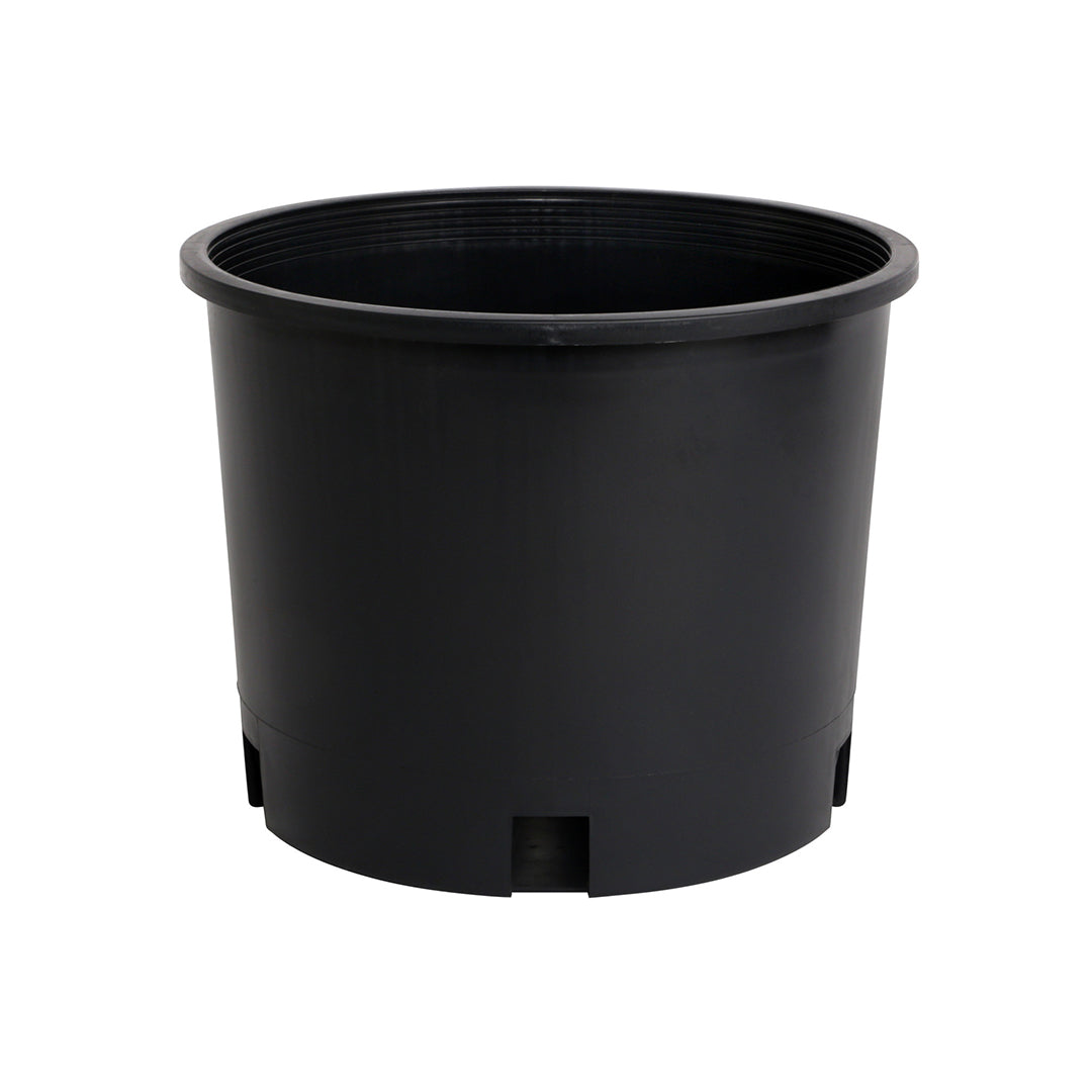 Kit Para Cultivo En Exterior (Outdoor) | HarvestCo x Fox Farms - DragonBud, GorillaGrow, CaliMagician, Candy-Kola, SeaGold, Ocean Forest Y Macetas