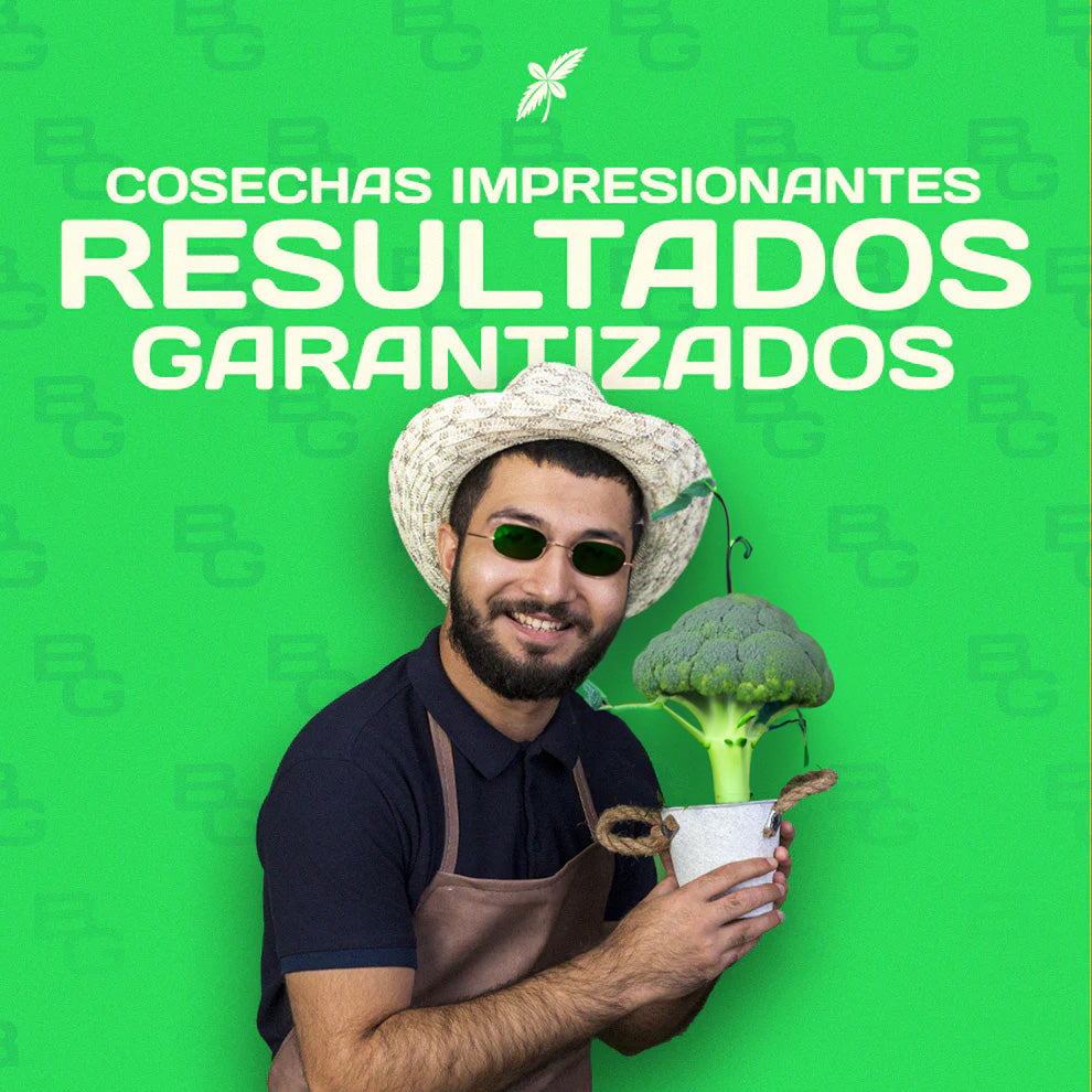 Membresía Anual Comunidad Border Grower | Asesoría Personalizada En Cultivo