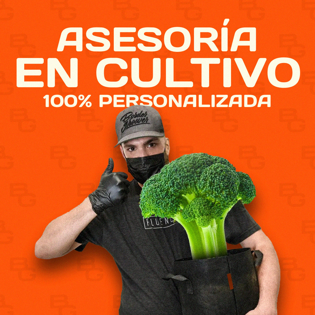 Membresía Anual Comunidad Border Grower | Asesoría Personalizada En Cultivo