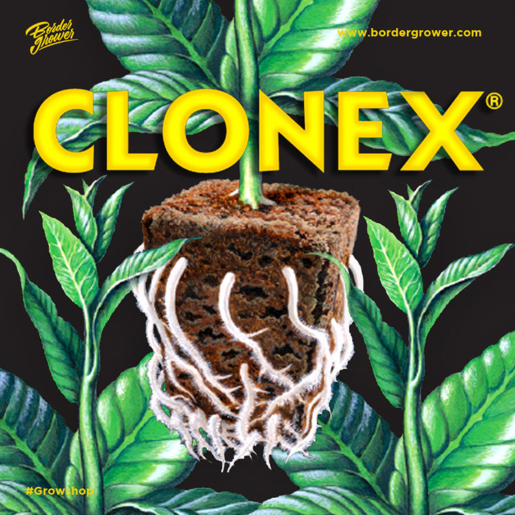 Clonex Clone Solution 20 mL | HydroDynamics International - Sobre De Solución Enraizadora Para Esquejes Y Clones