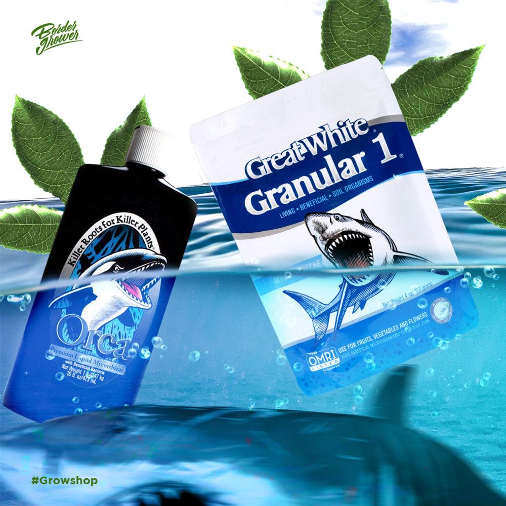 Great White Granular | Plant Success - Complejo De Micorrizas 100% Orgánico