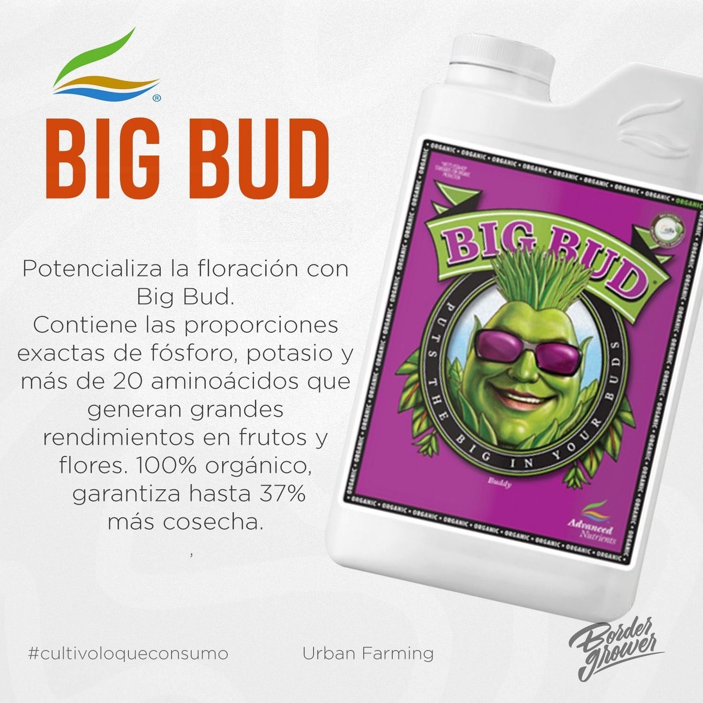 Big Bud | Advanced Nutrients - Fertilizante Líquido Para Floración Engordador De Flores