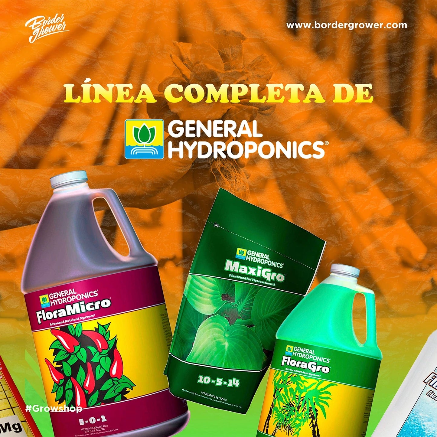Florakleen | General Hydroponics - Aditivo Limpiador de Raíz Remueve El Exceso De Sales Minerales