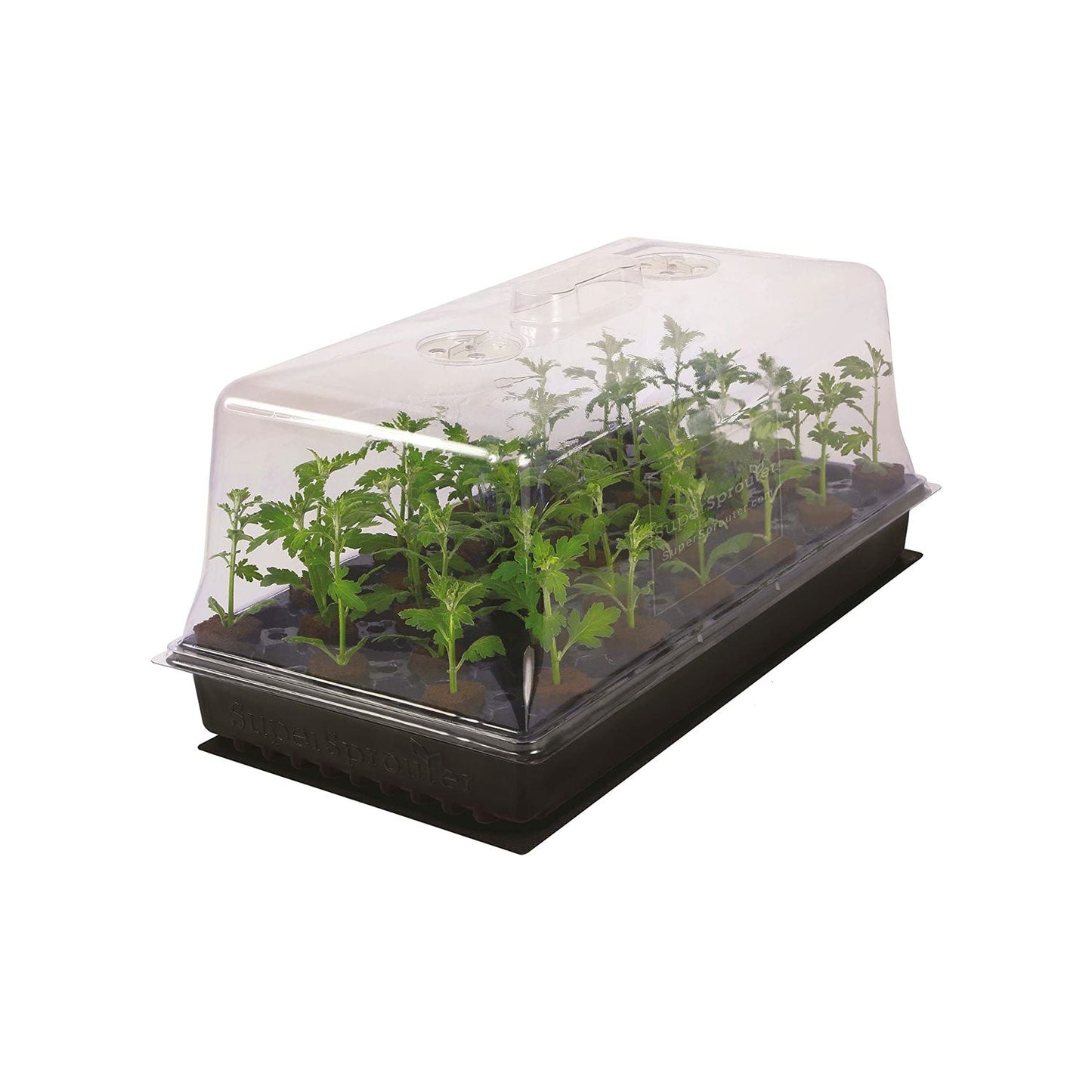 Kit para Germinación de semillas completo 3 piezas: 72 celdas y 11 cm