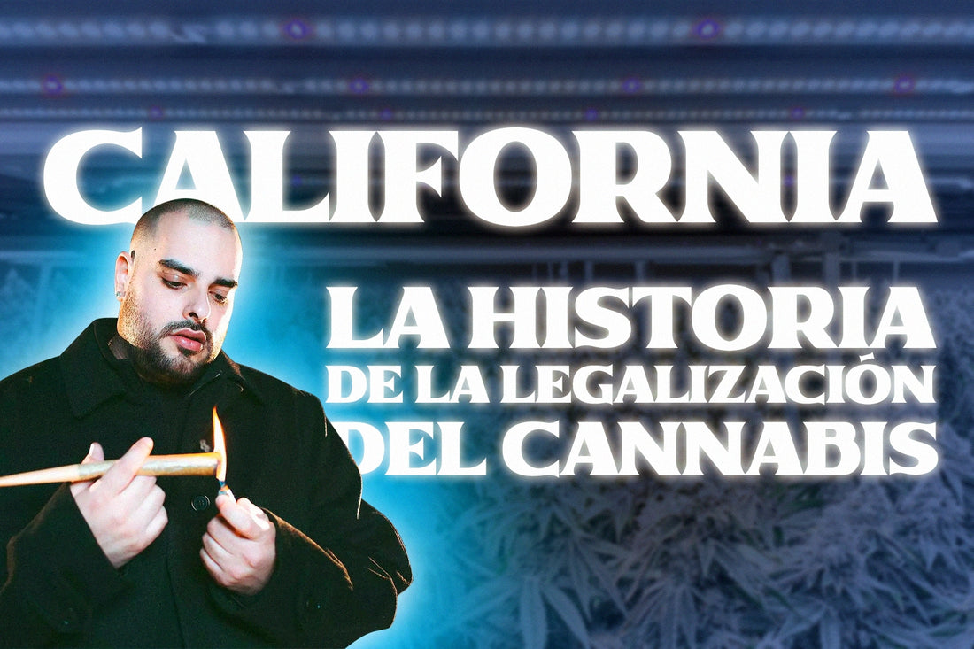 California Cannabis la historia de la legalizacion del cannabis en california desarrollo de la industria y marcas de marihuana cookies runtz jungle boys backpack boyz border grower