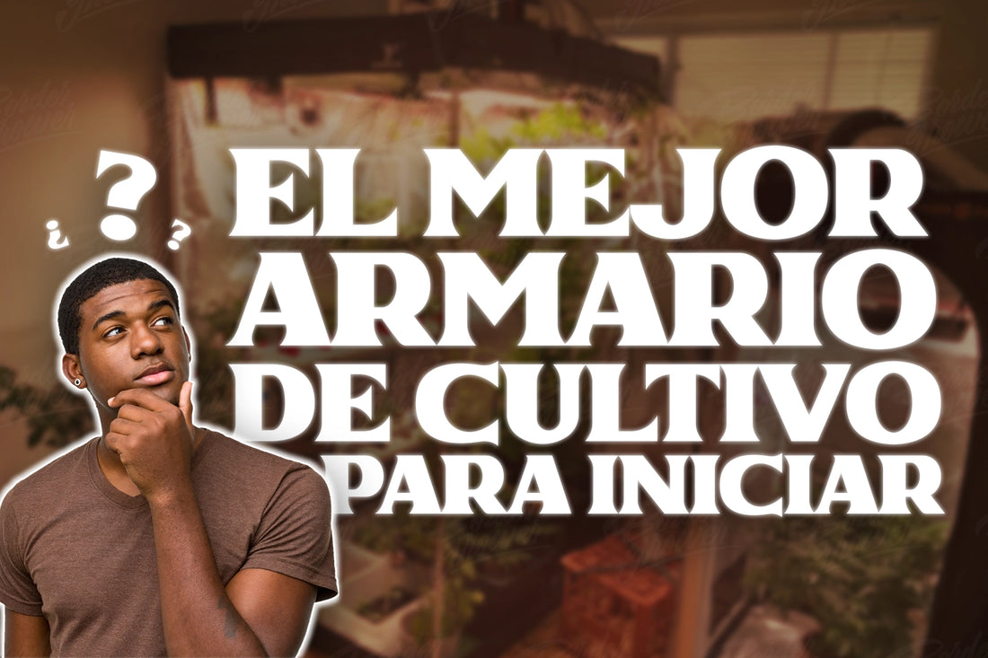 Como elegir el armario de cultivo ideal para iniciar