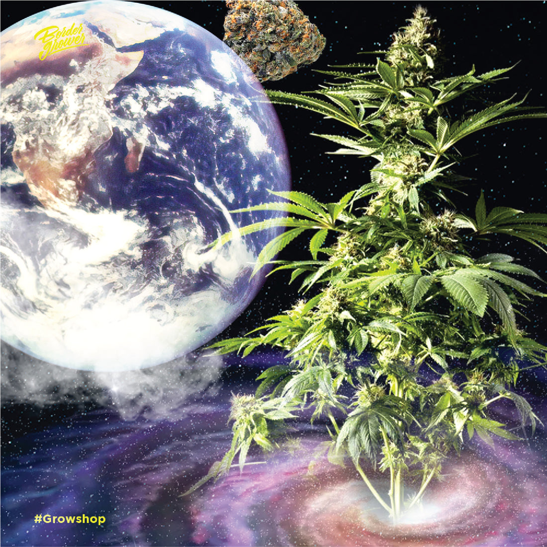 Inicia el Cultivo sin Fronteras