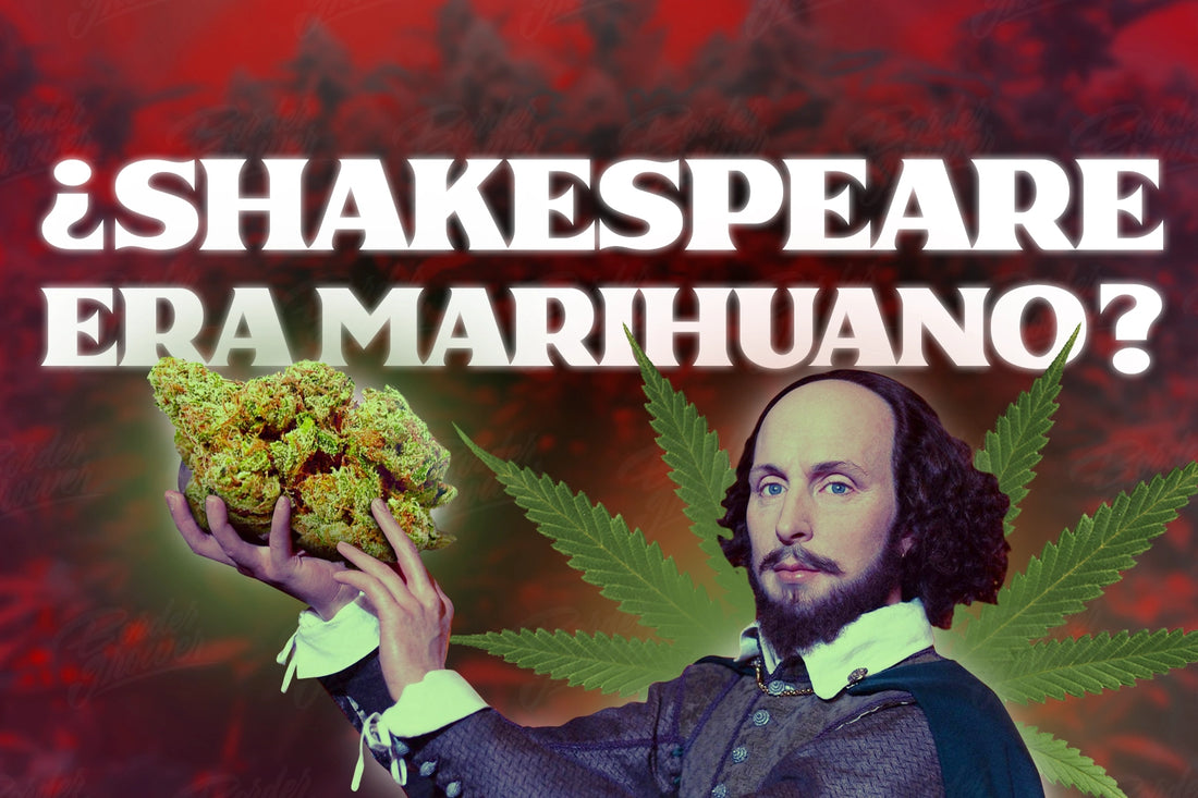 Shakespeare fumaba marihuana el cannabis como medio de creatividad para artistas border grower