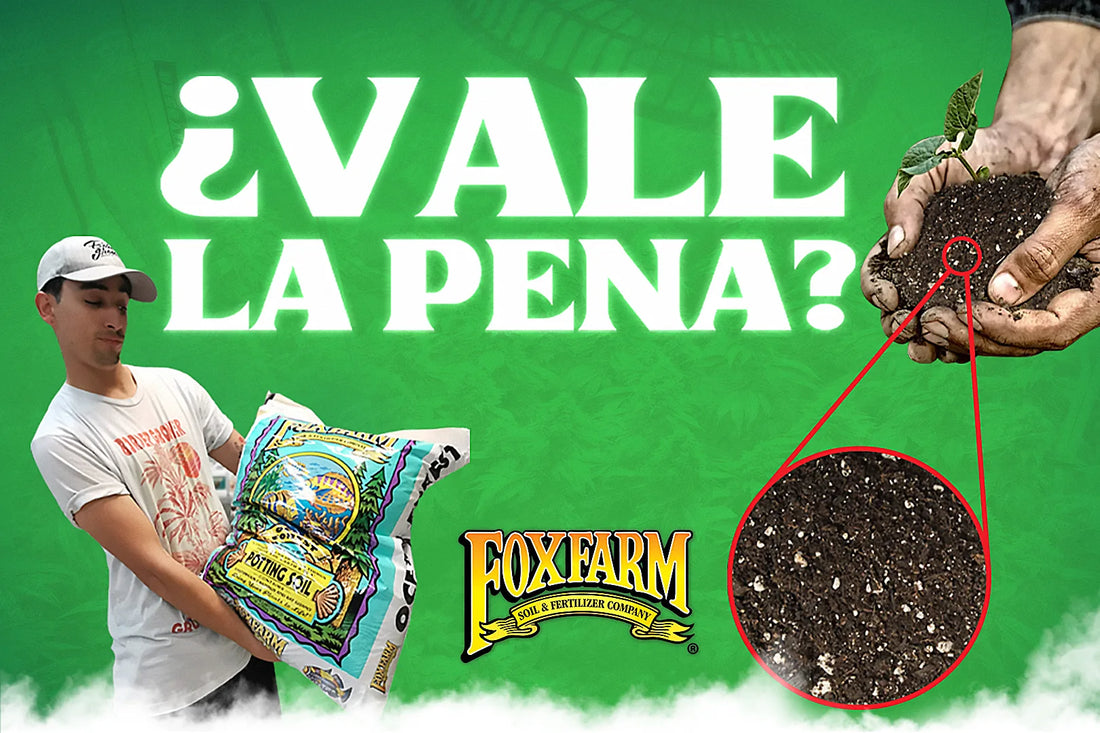 ¿Vale la pena el sustrato fox Farms? En Border Grower te damos nuestra opinion respecto a este tipo de sustratos