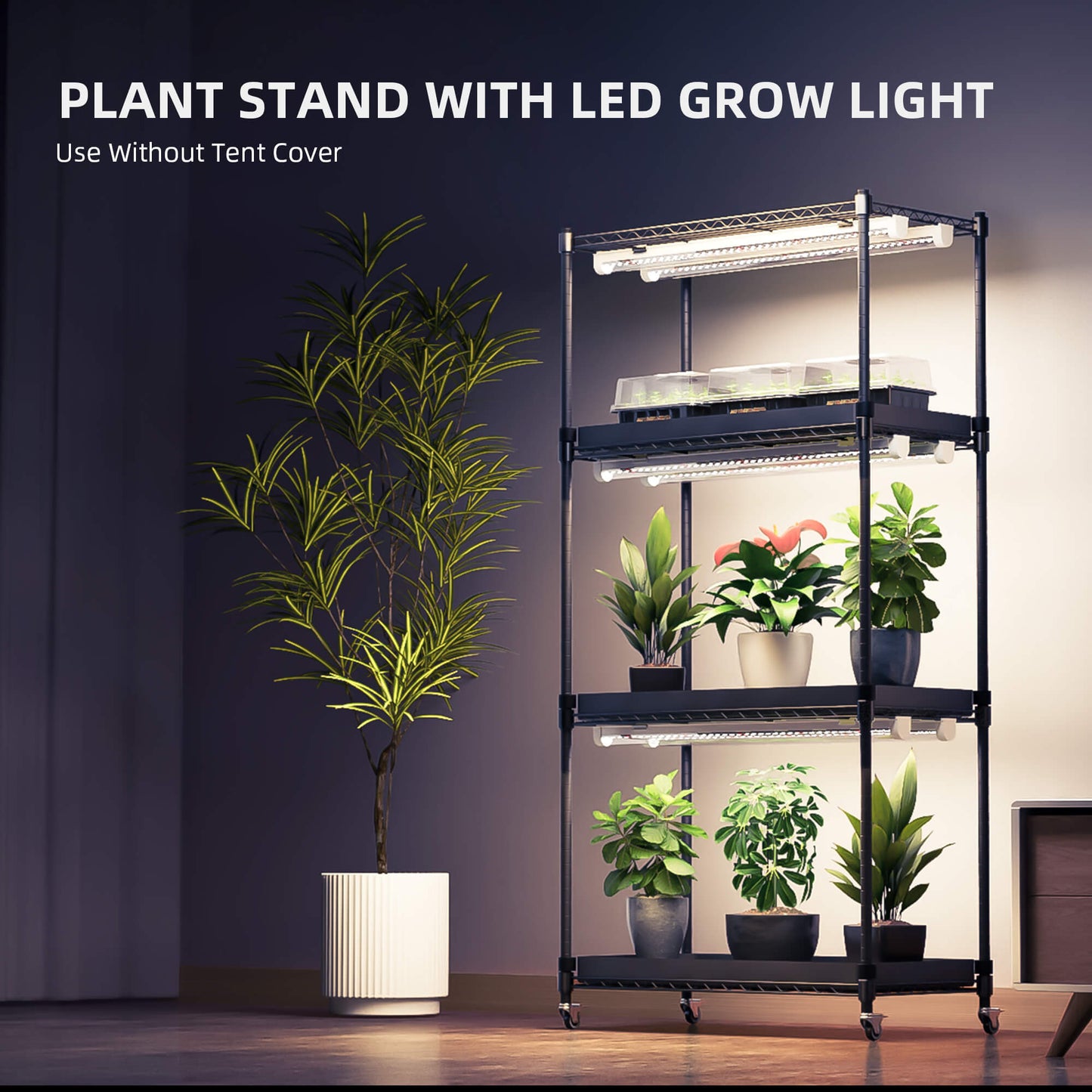 Kit completo de clonación y propagación TODO EN UNO  4 niveles + luces de cultivo  108W