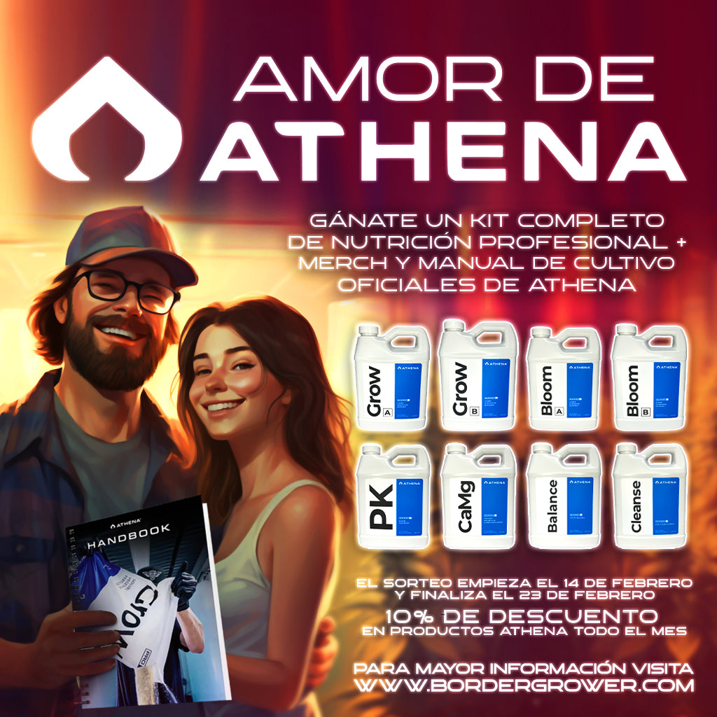 SORTEO AMOR POR ATHENA ATHENA, Gana un kit completo y merch exclusiva de la marca