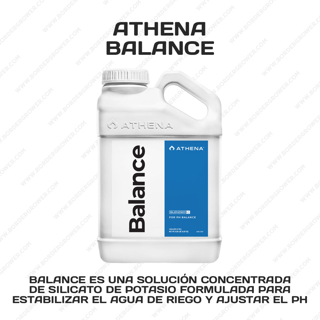 Kit Automatizado 300×150×200 con 2× FloraFlex 700W + CloudLine 8″ + Athena Pro + Envío Gratis