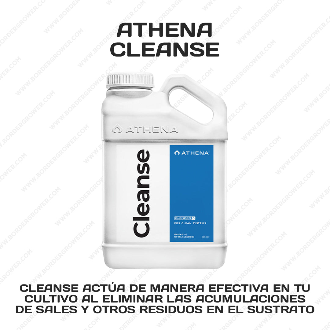 Kit Automatizado 300×150×200 con 2× FloraFlex 700W + CloudLine 8″ + Athena Pro + Envío Gratis