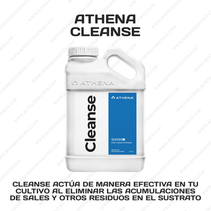Kit Automatizado 300×150×200 con 2× FloraFlex 700W + CloudLine 8″ + Athena Pro + Envío Gratis