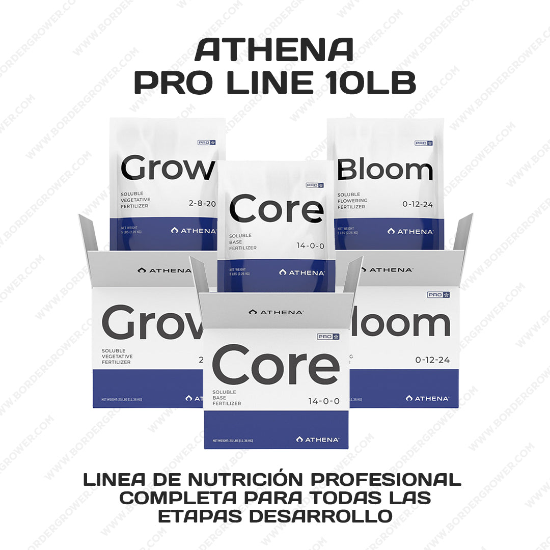 Kit Automatizado 300×150×200 con 2× FloraFlex 700W + CloudLine 8″ + Athena Pro + Envío Gratis