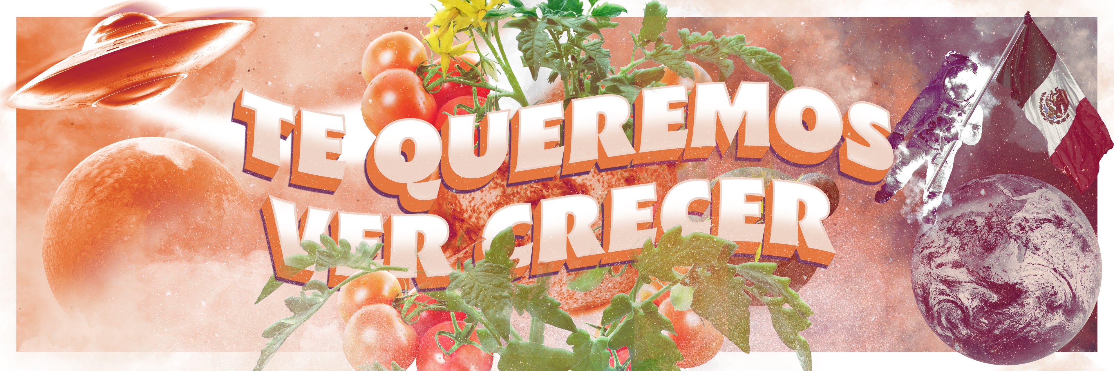 Consigue con Border Grower tu tienda de autocultivo favorita elevar tu cultivo especializado en la planta y los nutrientes diseñados para cogollos y cosechas exitosas mas gordas y aromaticas deliciosas formas de extraer la canabis en tu grow barato 