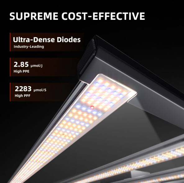 SF G8600 | Spider Farmer - Lámpara Led De De Espectro Completo Para Cultivo Indoor Profesional