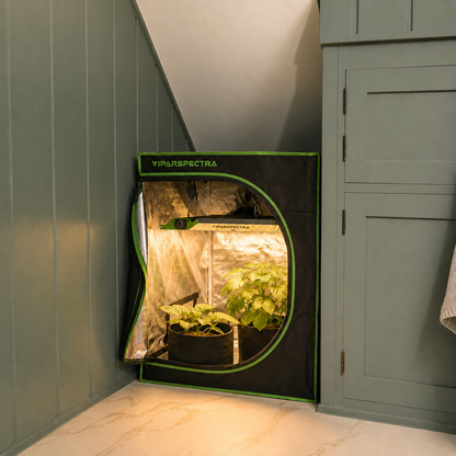 ViparSpectra | P700 70W - Lampara de cultivo LED De Espectro Completo Con Regulador