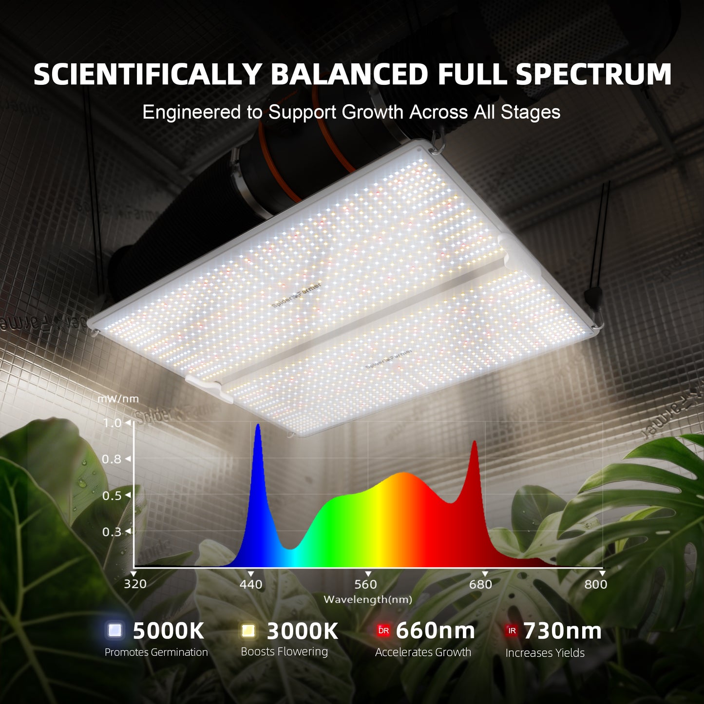 Kit De Cultivo | Spider Farmer - SF-4000, Armario De Cultivo, Ventilación, Lampara, Controlador, y otros