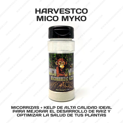 Kit Automatizado 300×150×200 con 2× FloraFlex 700W + CloudLine 8″ + Athena Pro + Envío Gratis