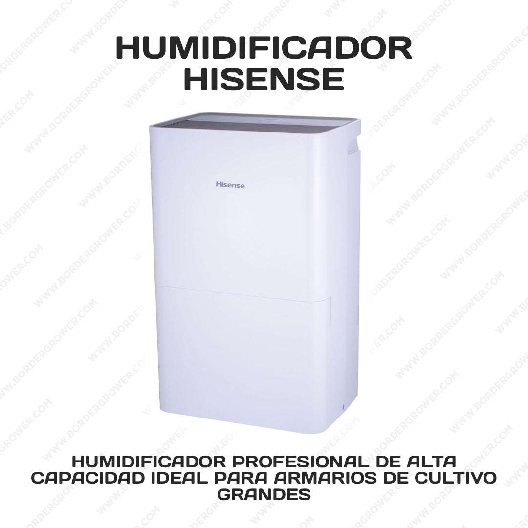 Kit Automatizado 300×150×200 con 2× FloraFlex 700W + CloudLine 8″ + Athena Pro + Envío Gratis