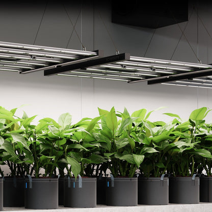 Ac Infinity lampara cultivo barras led profesional IONFRAME EVO3 full spectrum