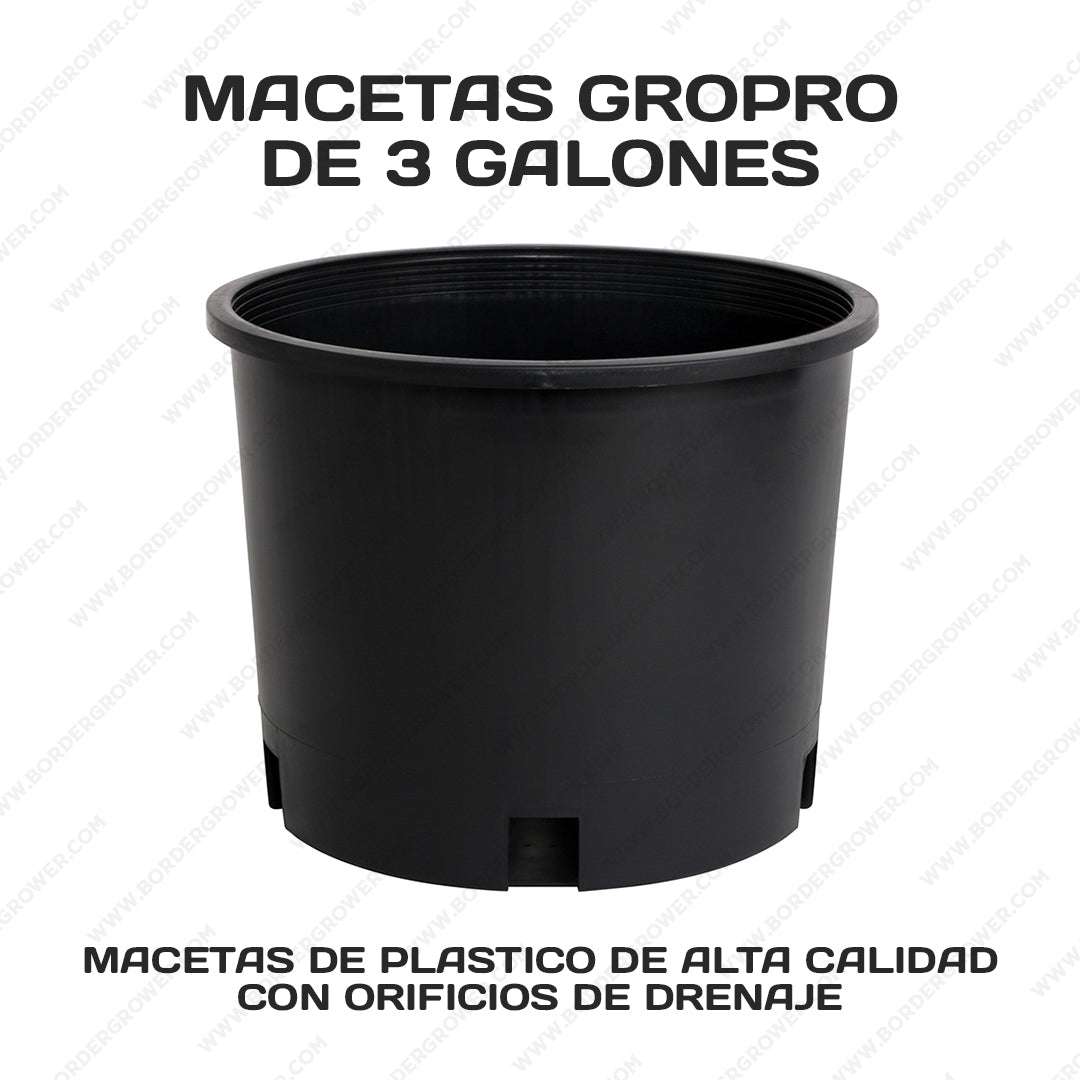 Kit Automatizado 300×150×200 con 2× FloraFlex 700W + CloudLine 8″ + Athena Pro + Envío Gratis