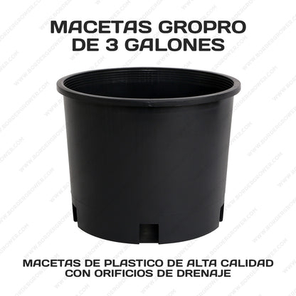 Kit Automatizado 300×150×200 con 2× FloraFlex 700W + CloudLine 8″ + Athena Pro + Envío Gratis
