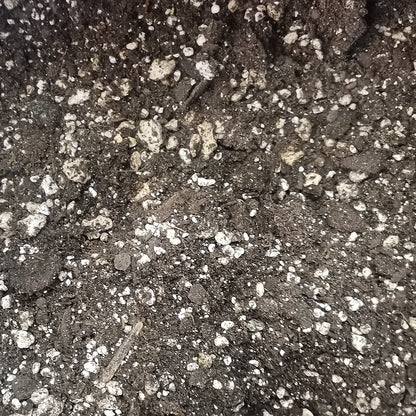 Groundswell | Mother Earth - Sustrato Mineralizado De Alta Aeración 42.5 LT