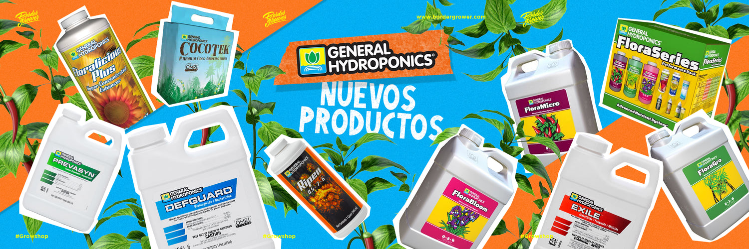 Empieza a clonar canabis mira como cortar las plantas de cannabis y agregar clonex luego en domo de propagacion de esquejes mira como hacerlo con enraizadores tapete termico heat mat marcas como greatwhite concentrados de la semilla hasta la cosecha