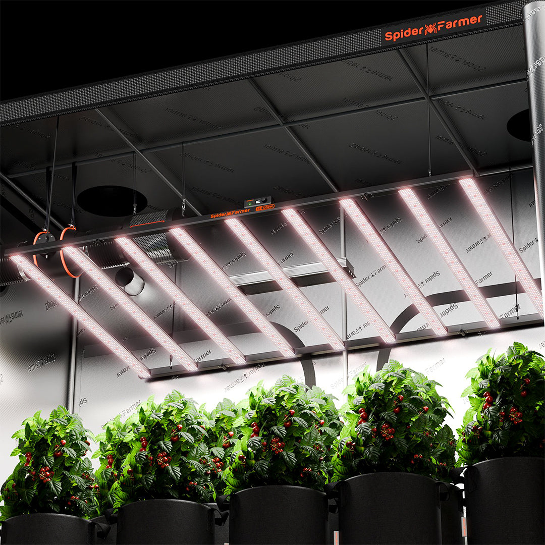 Spider Farmer | SE1200 LED - 1200w máxima potencia y producción
