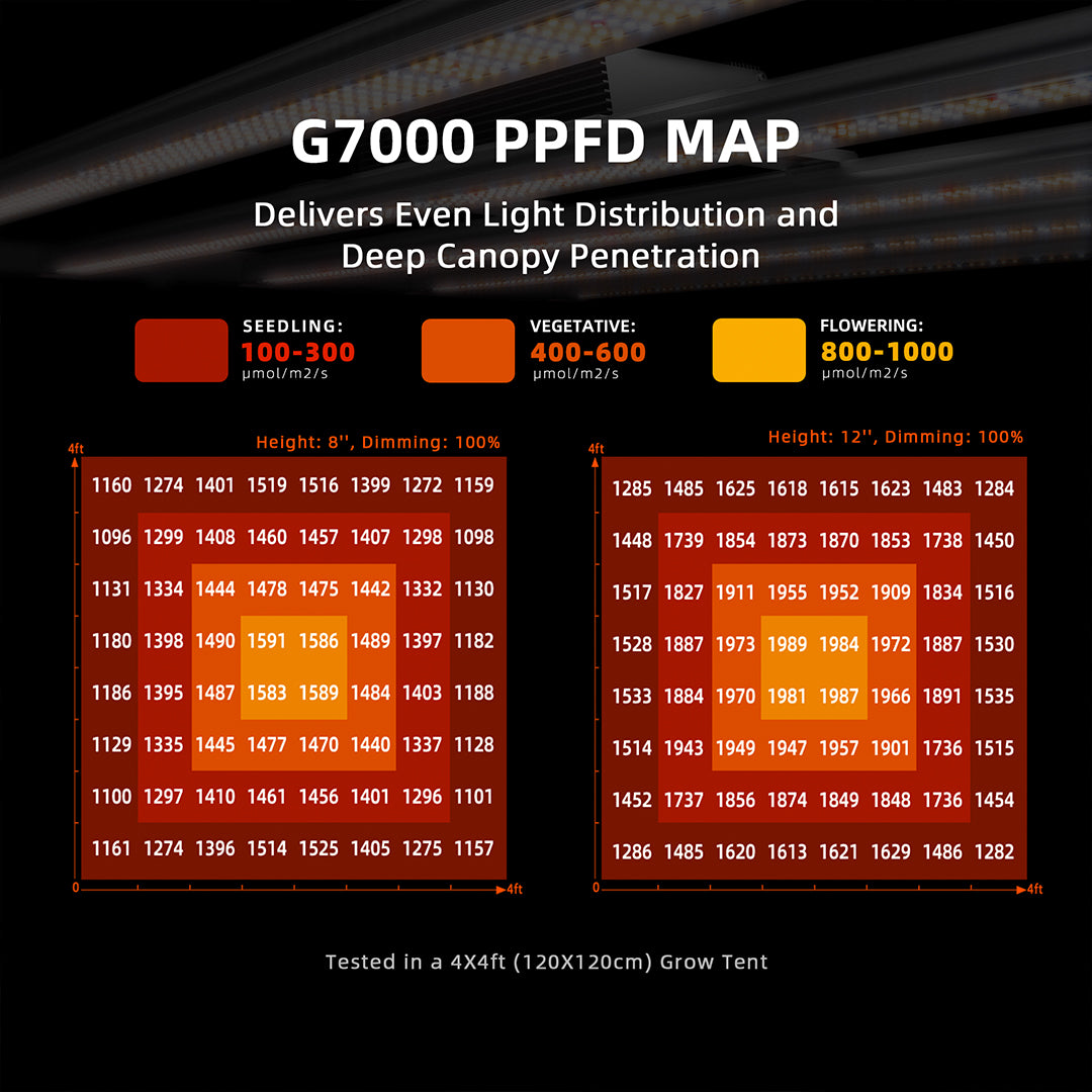 Spider Farmer | G7000 LED Grow Light 730 W - floración profesional