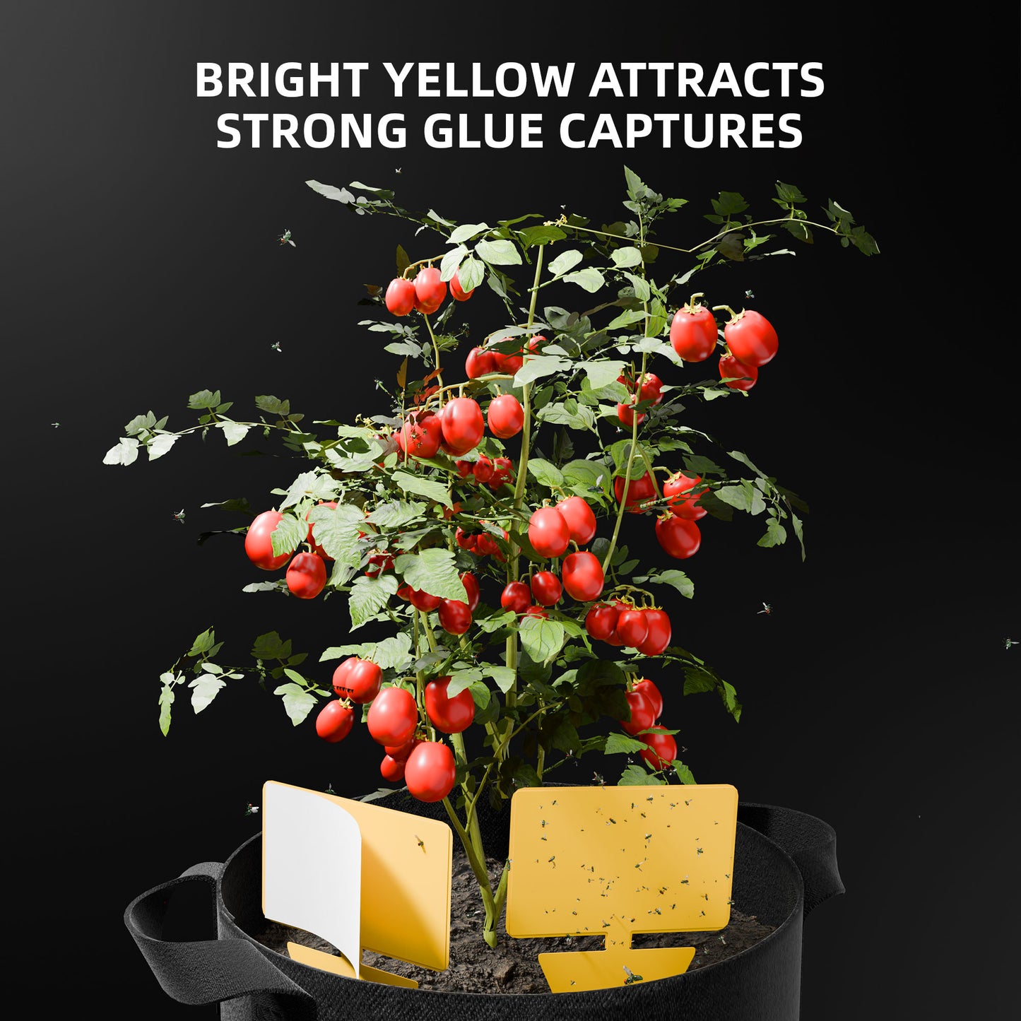 Kit Spider Farmer 9 en 1  de secado – Herramientas para Cultivo Indoor con Bolsa Carbono, Secador y Más