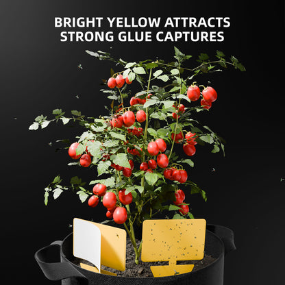 Kit Spider Farmer 9 en 1  de secado – Herramientas para Cultivo Indoor con Bolsa Carbono, Secador y Más