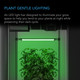 IONBEAM Green, luznLED con controlador de temporizador, 16 Pulgadas