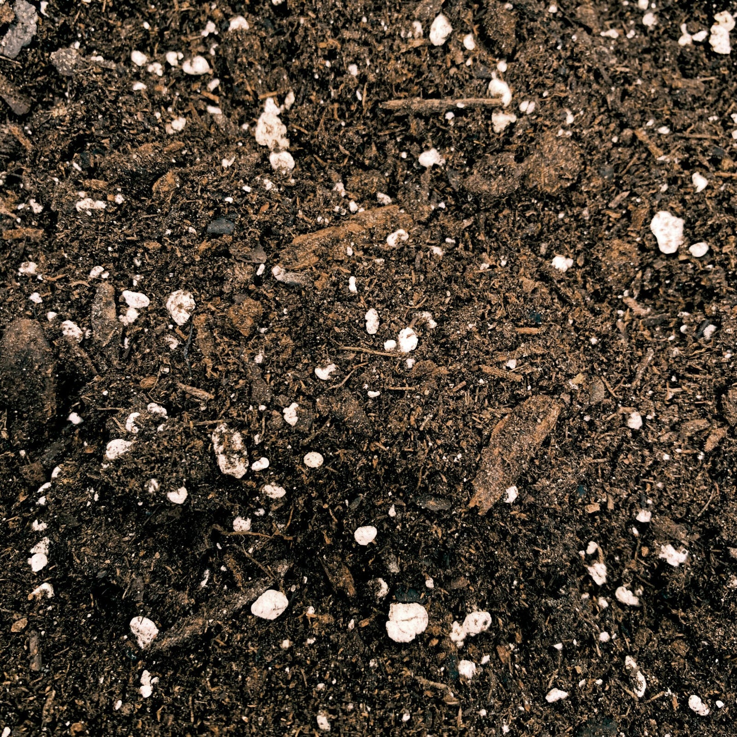 ORGANICARE TRUE EARTH 49.55 LT | Botanicare - Sustrato De Tierra Premium Con Fertilizante Para Exterior E Interior