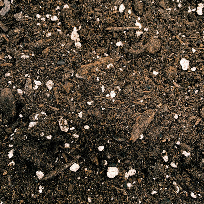 ORGANICARE TRUE EARTH 49.55 LT | Botanicare - Sustrato De Tierra Premium Con Fertilizante Para Exterior E Interior