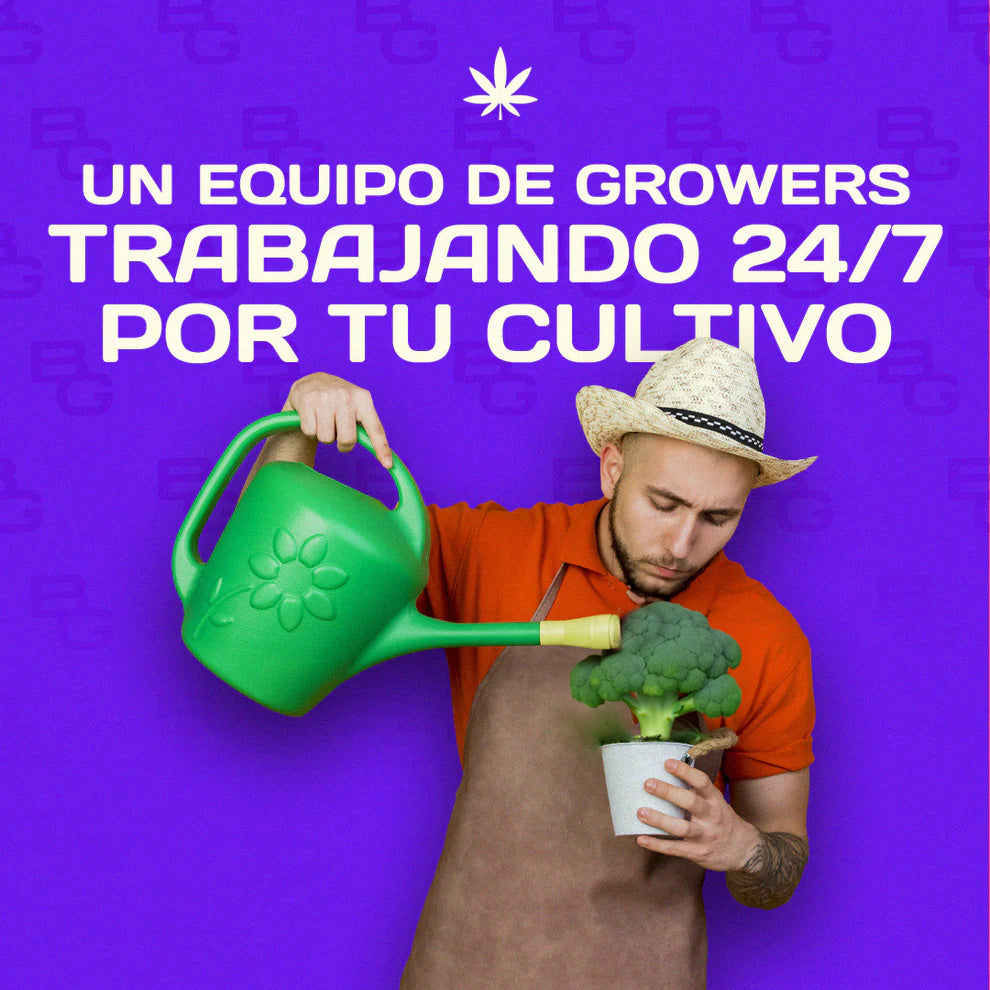 Membresía Anual Comunidad Border Grower | Asesoría Personalizada En Cultivo