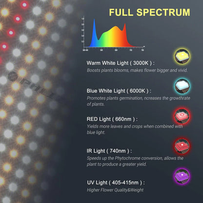 PL2000 200W | PHLIZON - Lámpara De Cultivo LED Para Vegetación Y Floración