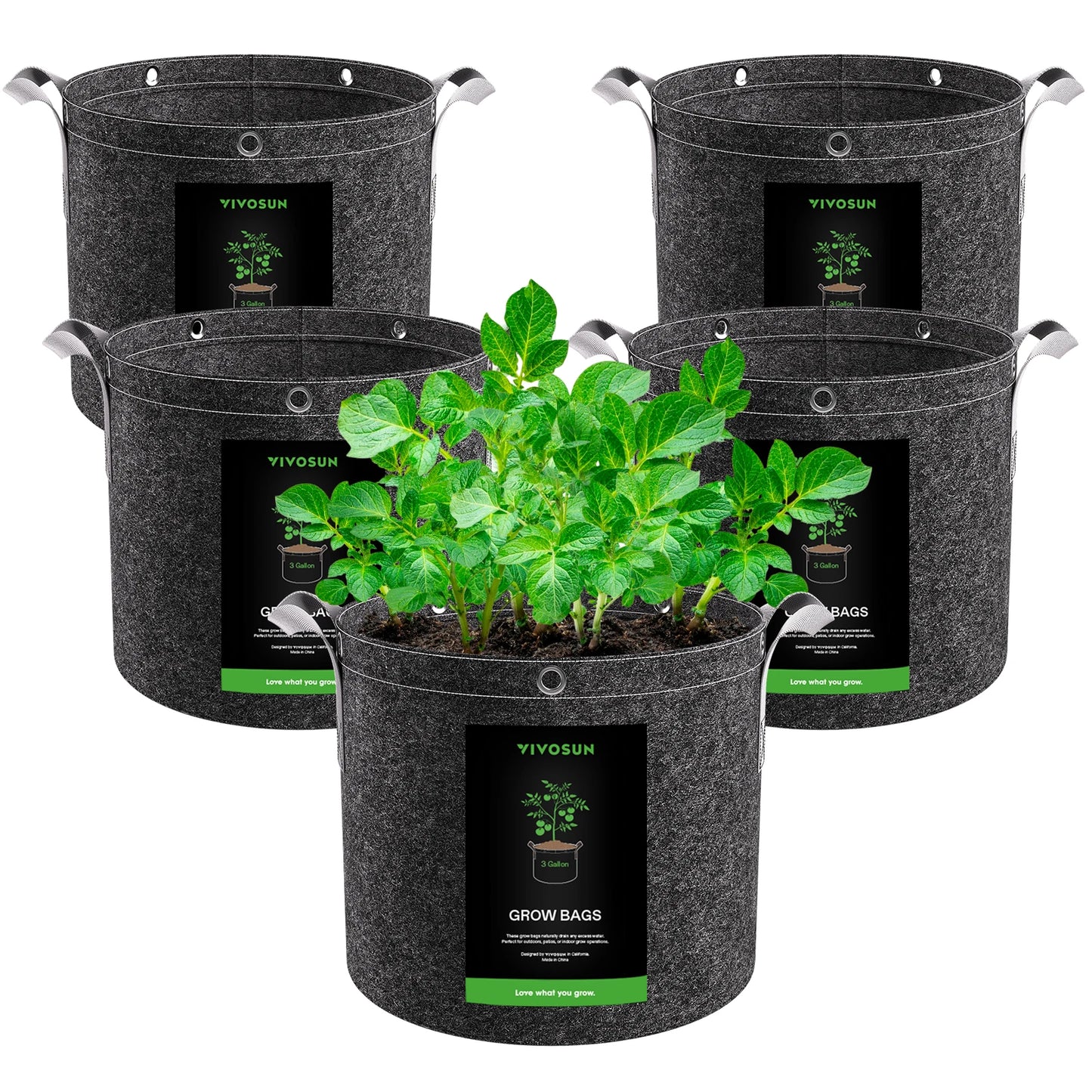 Kit Completo de Cultivo Indoor | Armario Spider Farmer 90x90x180 + ViparSpectra 100W + Kit de Ventilación VIVOSUN 4" + Nutrientes HarvestCo