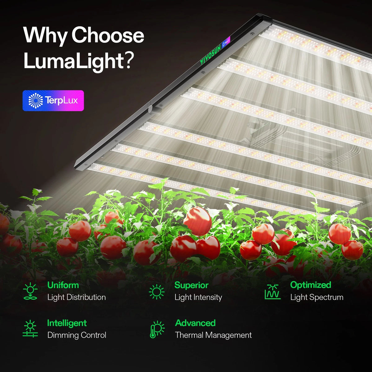 VIVOSUN LumaLight 320W - Luz LED Full Spectrum para Grow Tent 3x3 ft, Compatible con GrowHub