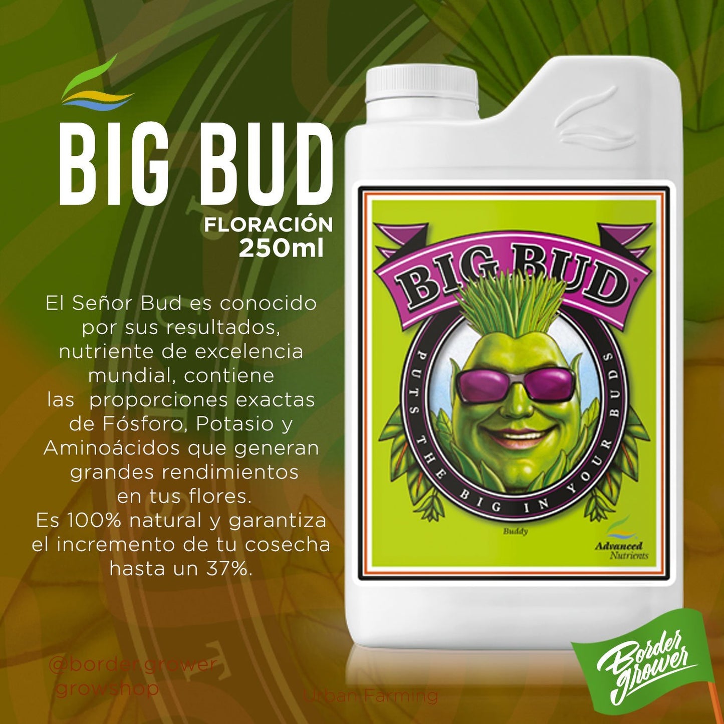 Big Bud | Advanced Nutrients - Fertilizante Líquido Para Floración Engordador De Flores