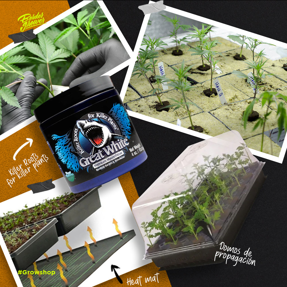 Great White Premium | Plant Success - Complejo de Micorrizas 100% Orgánico