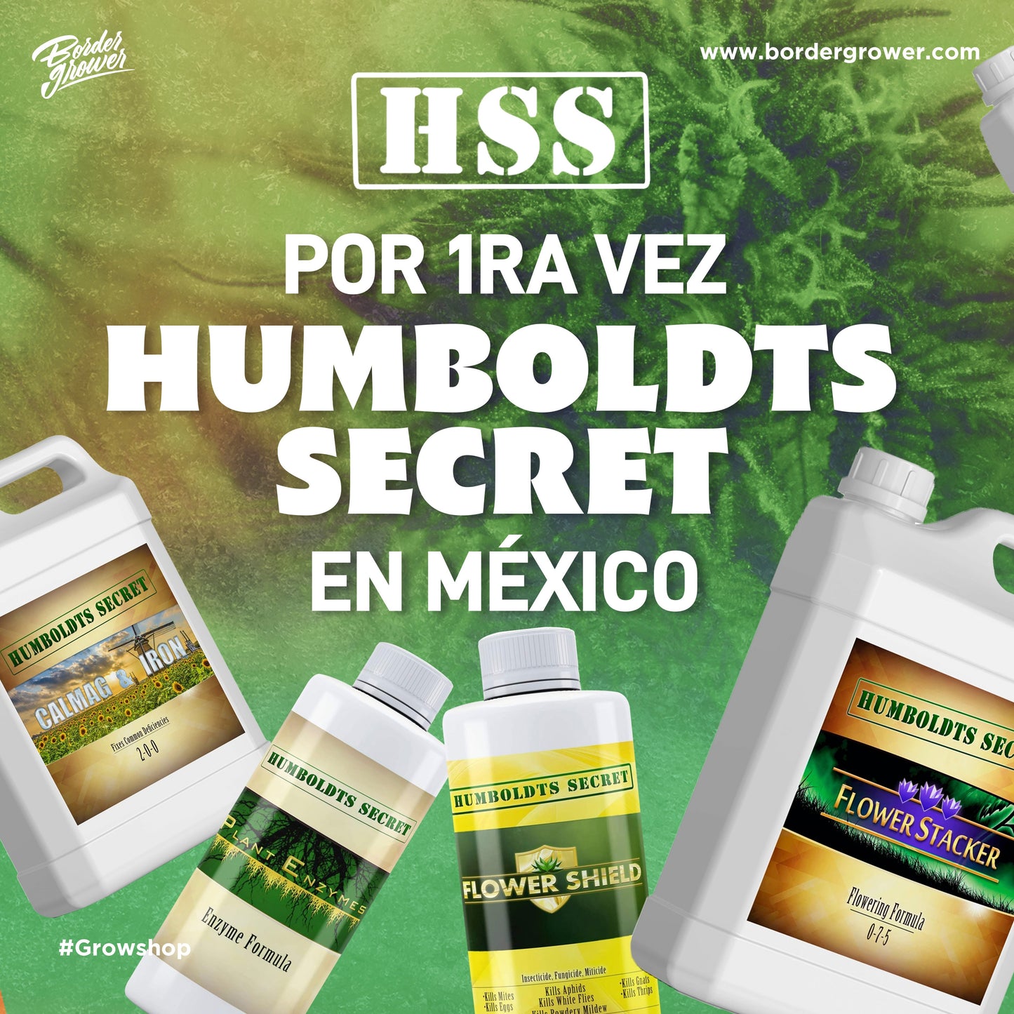 SWEET & STICKY Fórmula de Carbohidratos mejora aromas, resinas y terpenos