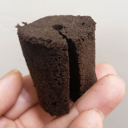 RAPID ROOTERS Cubo para germinación de semillas y propagación de esquejes