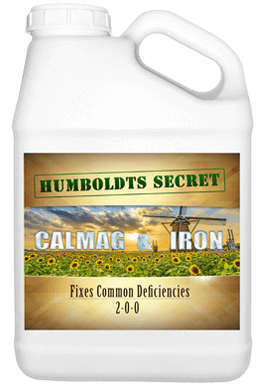 CALMAG & IRON Calcio, Magnesio y Hierro en formula balanceada que corrige deficiencias