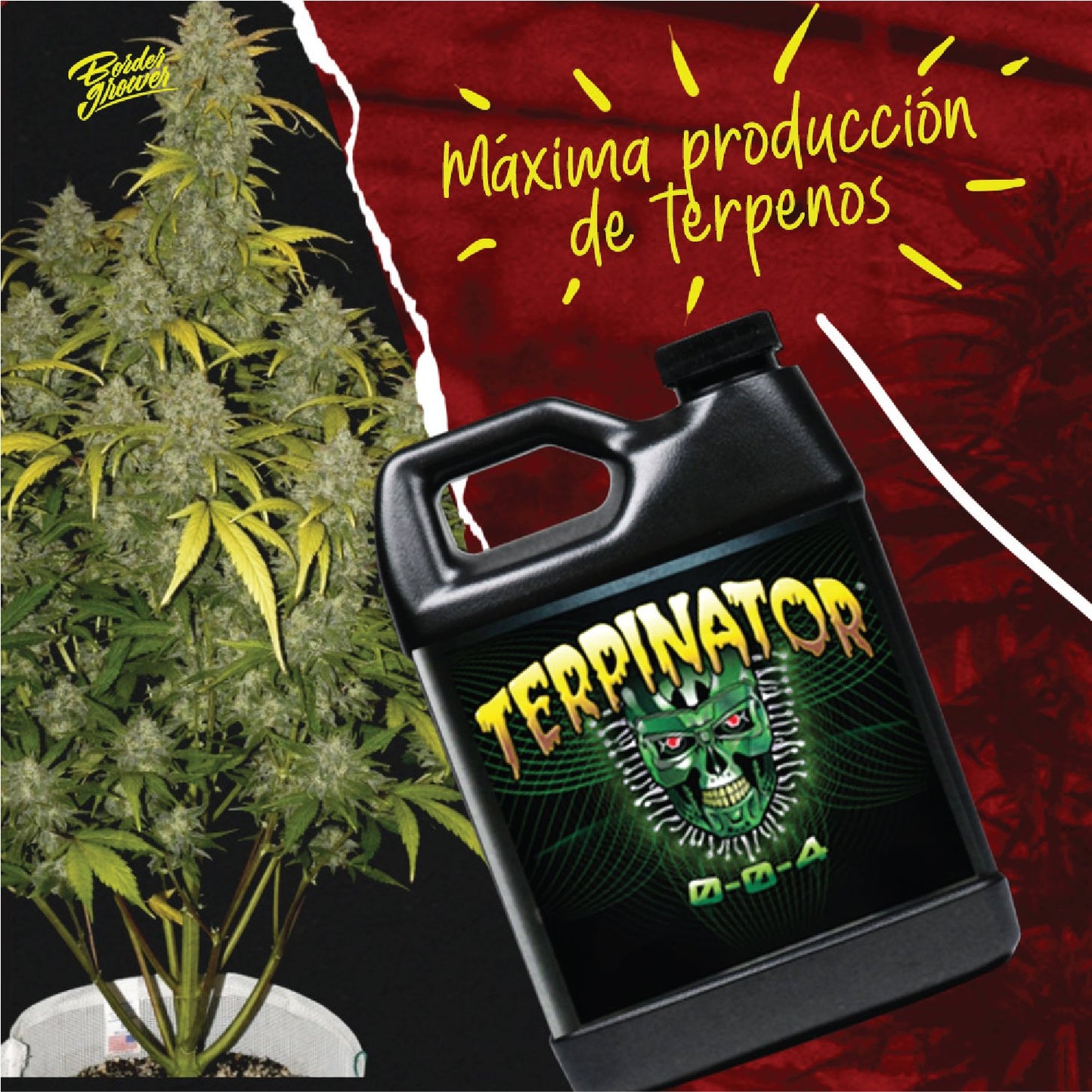 Terpinator | Aditivo Para Floración Potenciador De Terpenos Y Sabores