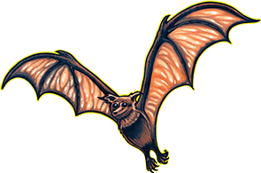Nitro Bat Guano | Mother Earth - Fertilizante De Guano De Murciélago Para Vegetación