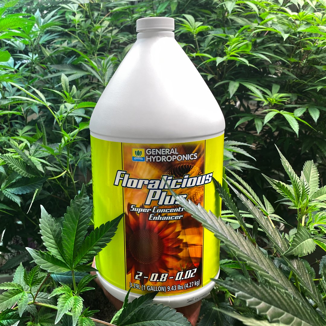 FLORALICIOUS PLUS | General Hydroponics - Para Flores Mas Grandes, Aromáticas Y Abundantes